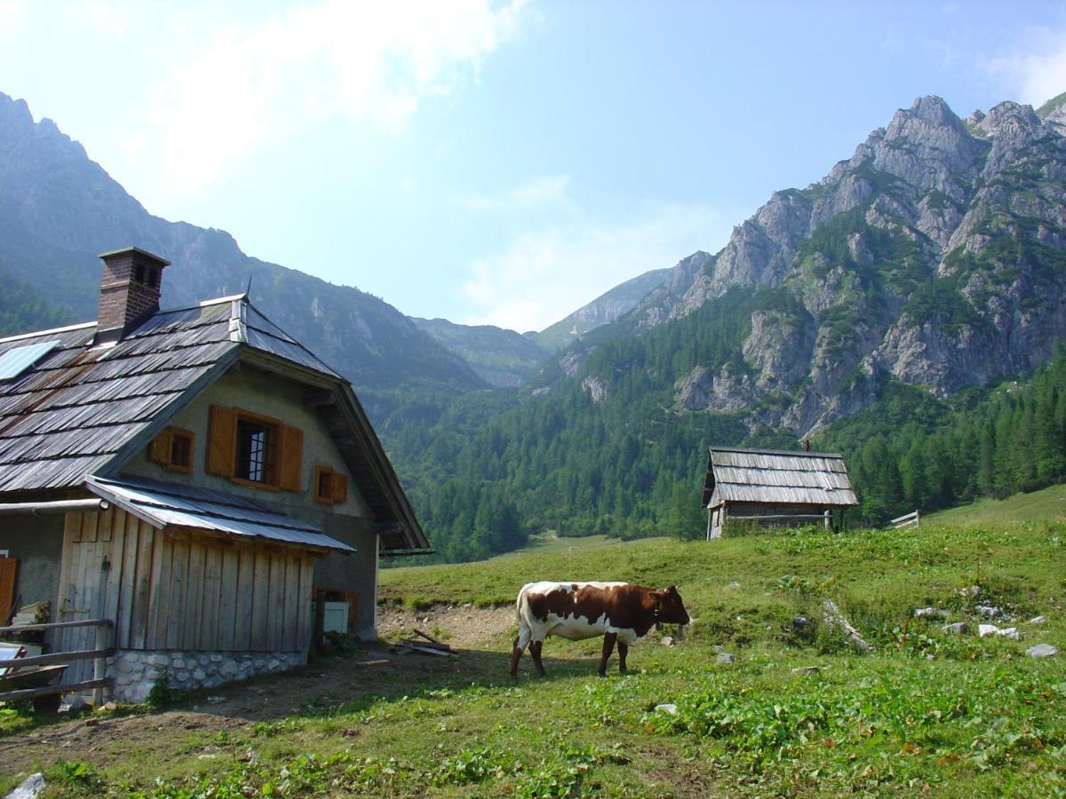 Planinska Hisica Pod Macesni - Bohinj Villa Srednja Vas v Bohinju Exterior photo